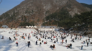 물맑은 양평빙어축제