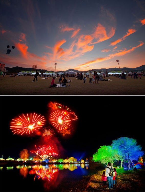 자라섬 오토 캠핑장