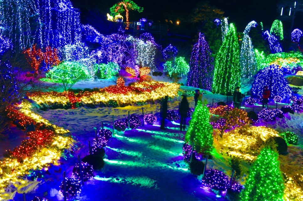 아침고요수목원