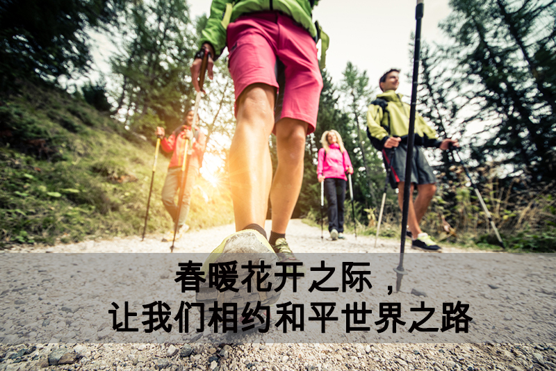 春暖花开之际,让我们相约和平世界之路