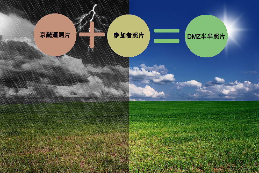 通过社交软件享受全球“DMZ半半照片大赛