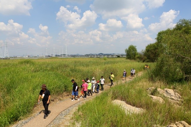 牛音岛生态徒步路