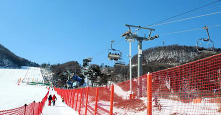 芝山森林度假村